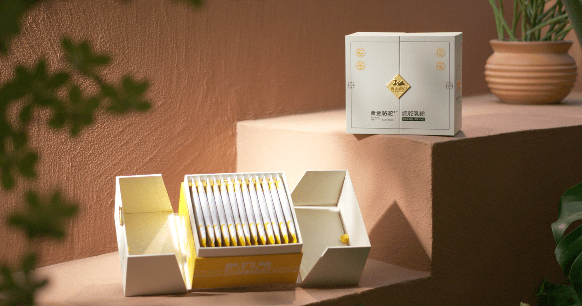 定位小众高端乳粉，彩霸王官网推出驼奶品牌“黄金骆驼+”，角逐乳品新市场！